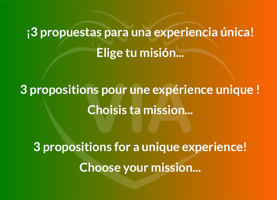 3 PROPOSITIONS FOR A UNIQUE EXPERIENCE!