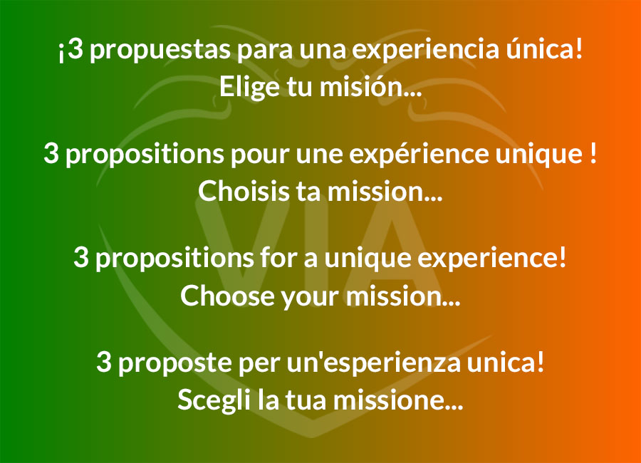 3 PROPOSITIONS FOR A UNIQUE EXPERIENCE!